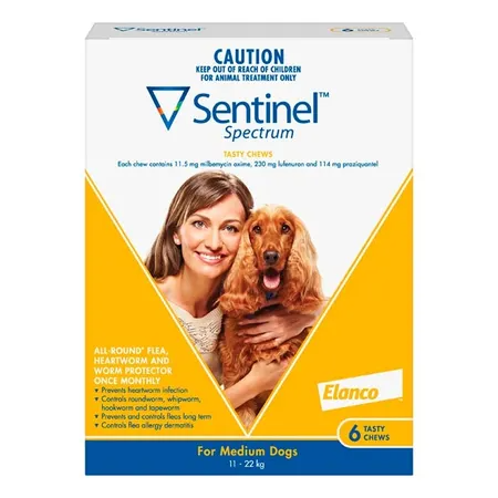 12203_112587_sentinel_md_yellow_6_1
