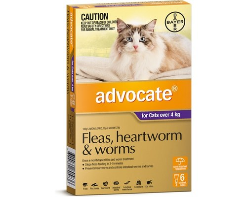 Advocate For Cats Spot On Flea Worm And Heart Worm Treatment 4kg Plus Purple 6pk