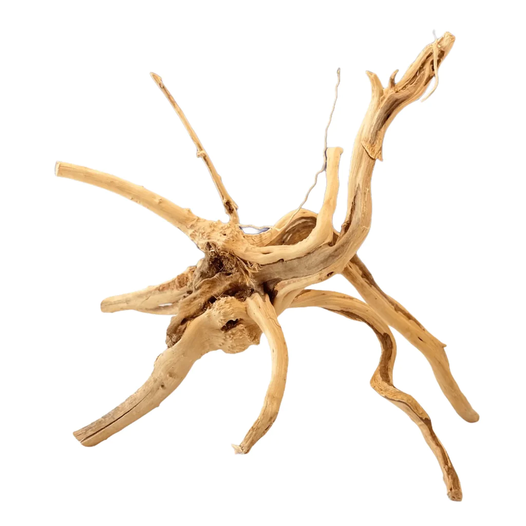 assorted-spider-wood-16982656614462_1800x1800_png_1024x1024