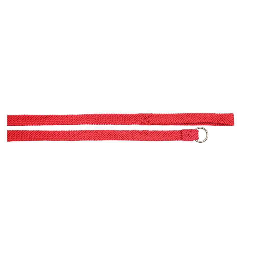 Allpet Slip Training Lead Red Large