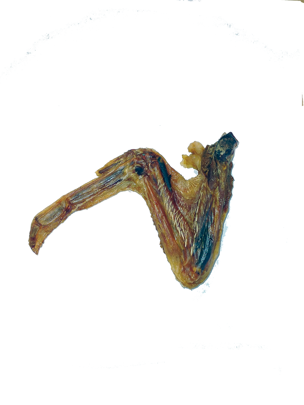 DDELI002